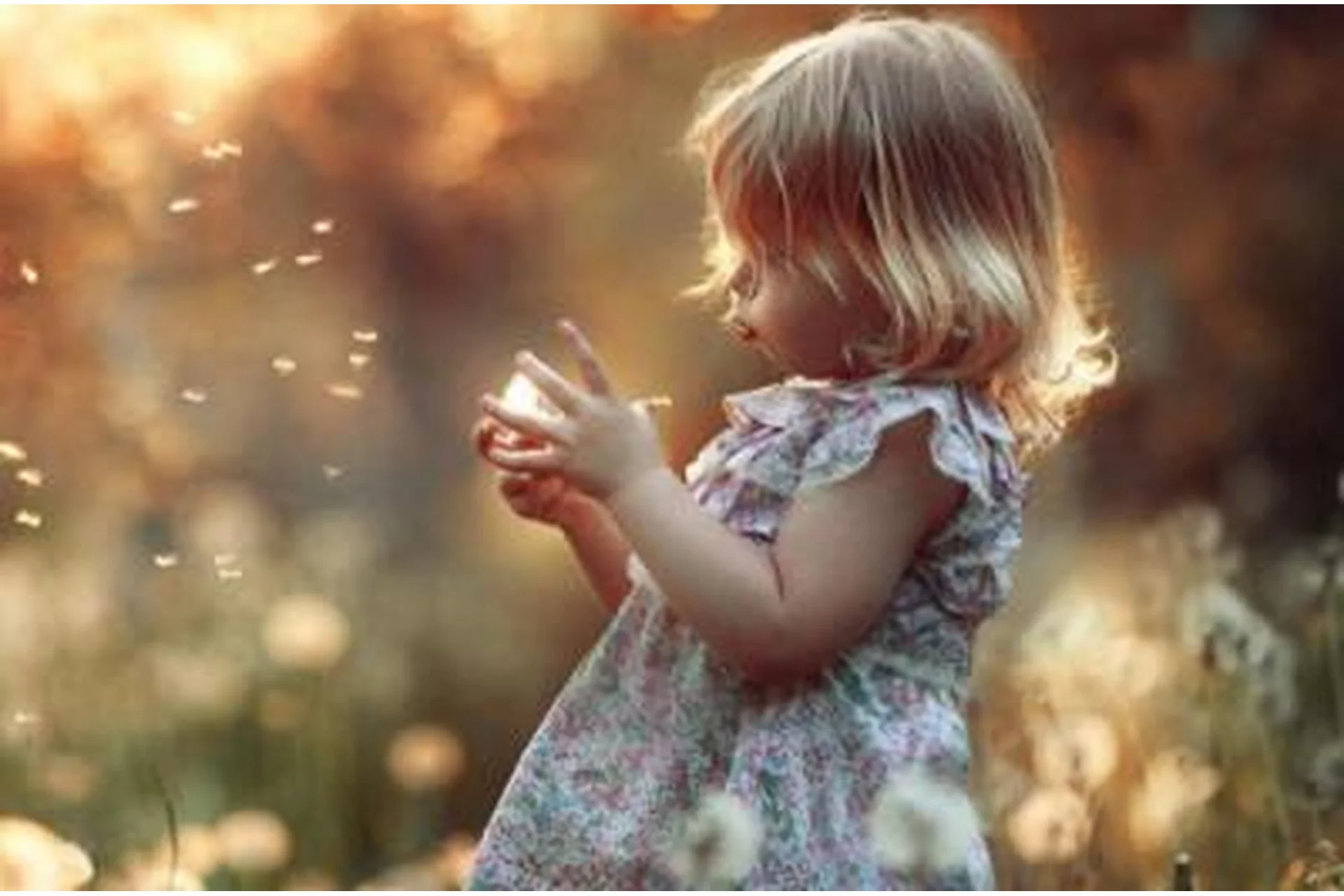 Детская фотография для начинающих. Поток 1 (Елена Карнеева), фото 1 из 1.