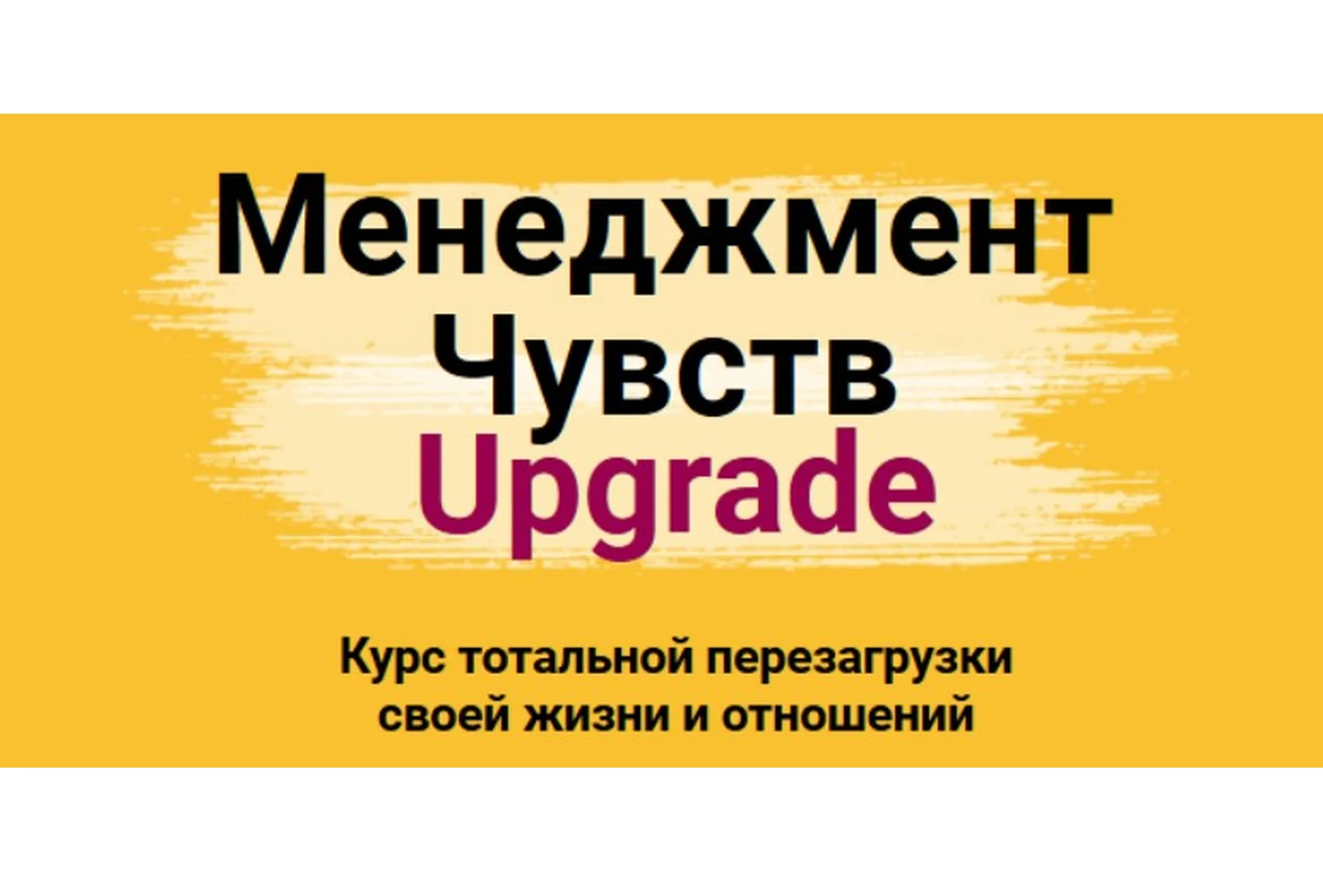 Менеджмент чувств. Upgrade. Тариф «Стандарт», 2020 (Игорь Погодин), фото 1 из 1.