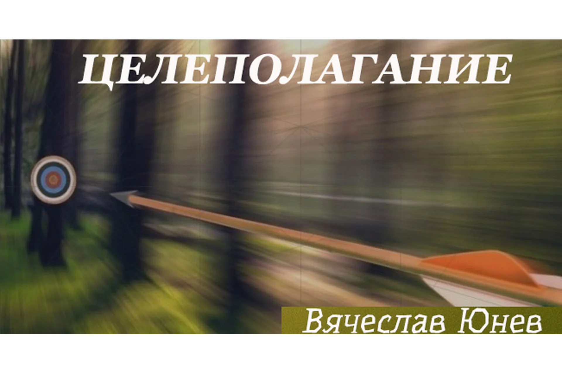 Целеполагание (Вячеслав Юнев), фото 1 из 1.