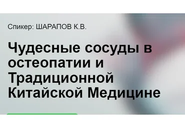 [cranio-acad] Чудесные сосуды в остеопатии и традиционной Китайской медицине (Константин Шарапов)