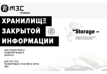 [Бизнес Молодость] МЗС Storage. Подписка на месяц №3 (Петр Осипов, Михаил Дашкиев)