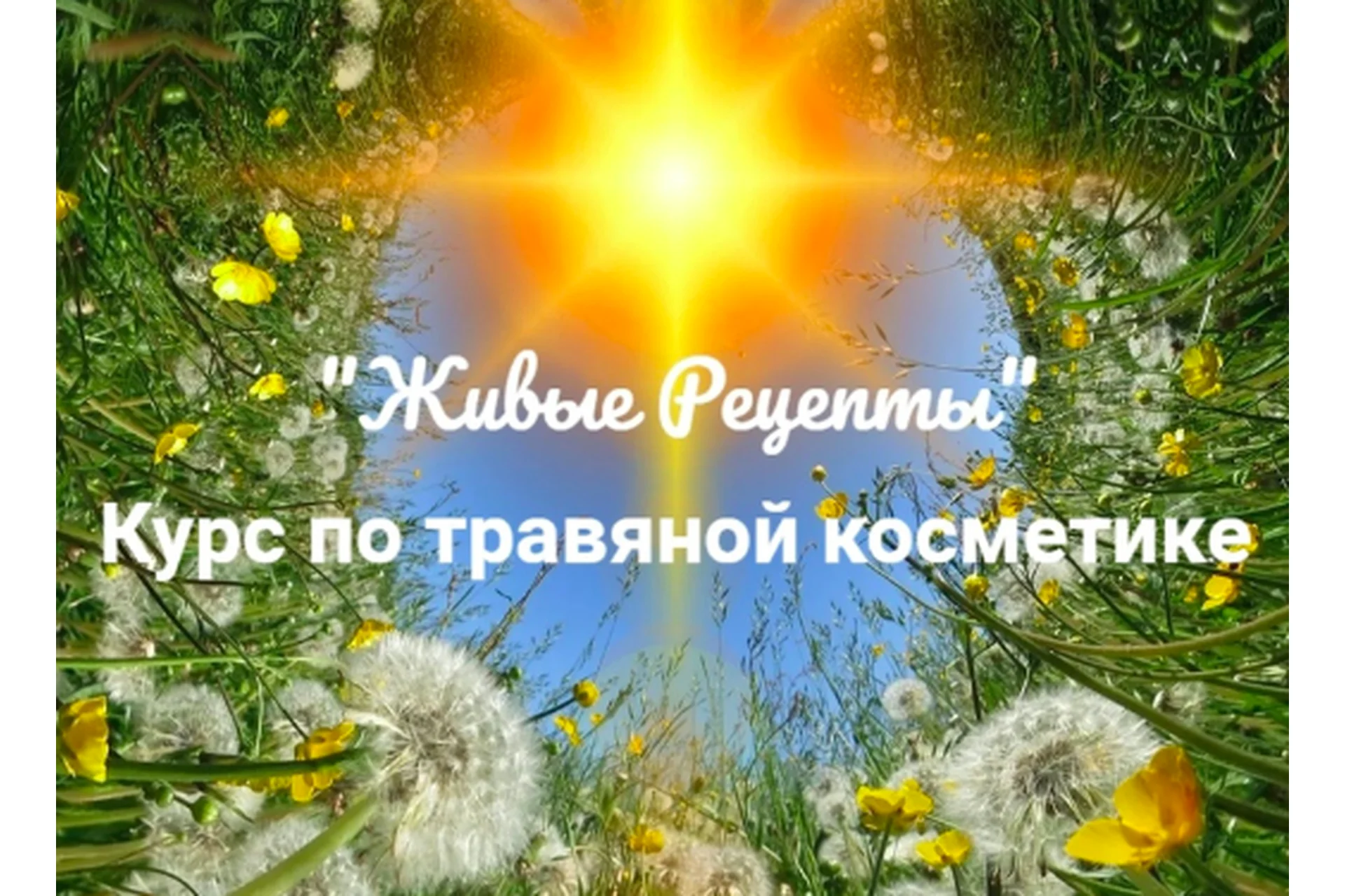 Живые рецепты. Курс по Травяной косметике (Наташа Бутова), фото 1 из 1.