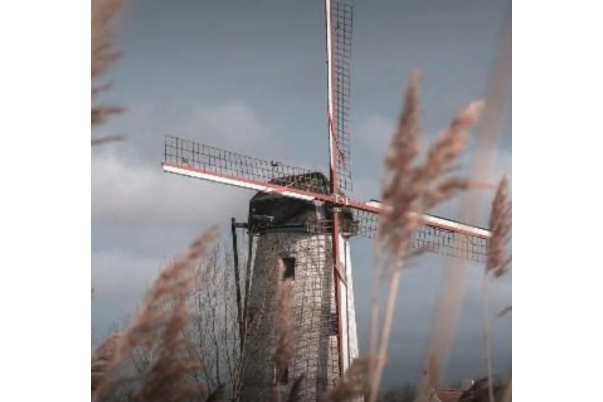 [Mitra-Varuna School]  Накшатра Свати. Глубокий анализ (Анна Ласточкина), фото 1 из 1.