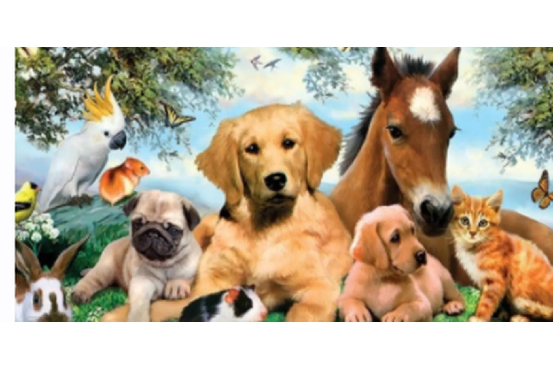 [Sigh Energy] Исцеление и регенерация домашних животных. Pets Healing and Regeneration Powerful Plus, фото 1 из 1.