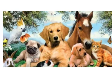 [Sigh Energy] Исцеление и регенерация домашних животных. Pets Healing and Regeneration Powerful Plus