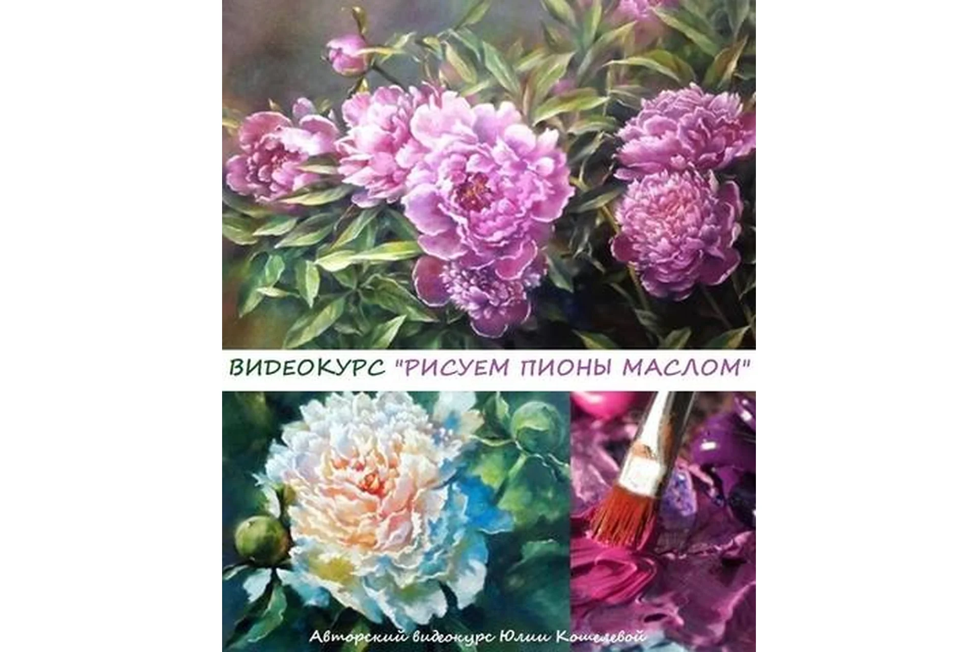 Рисуем пионы маслом (Юлия Кошелева), фото 1 из 1.