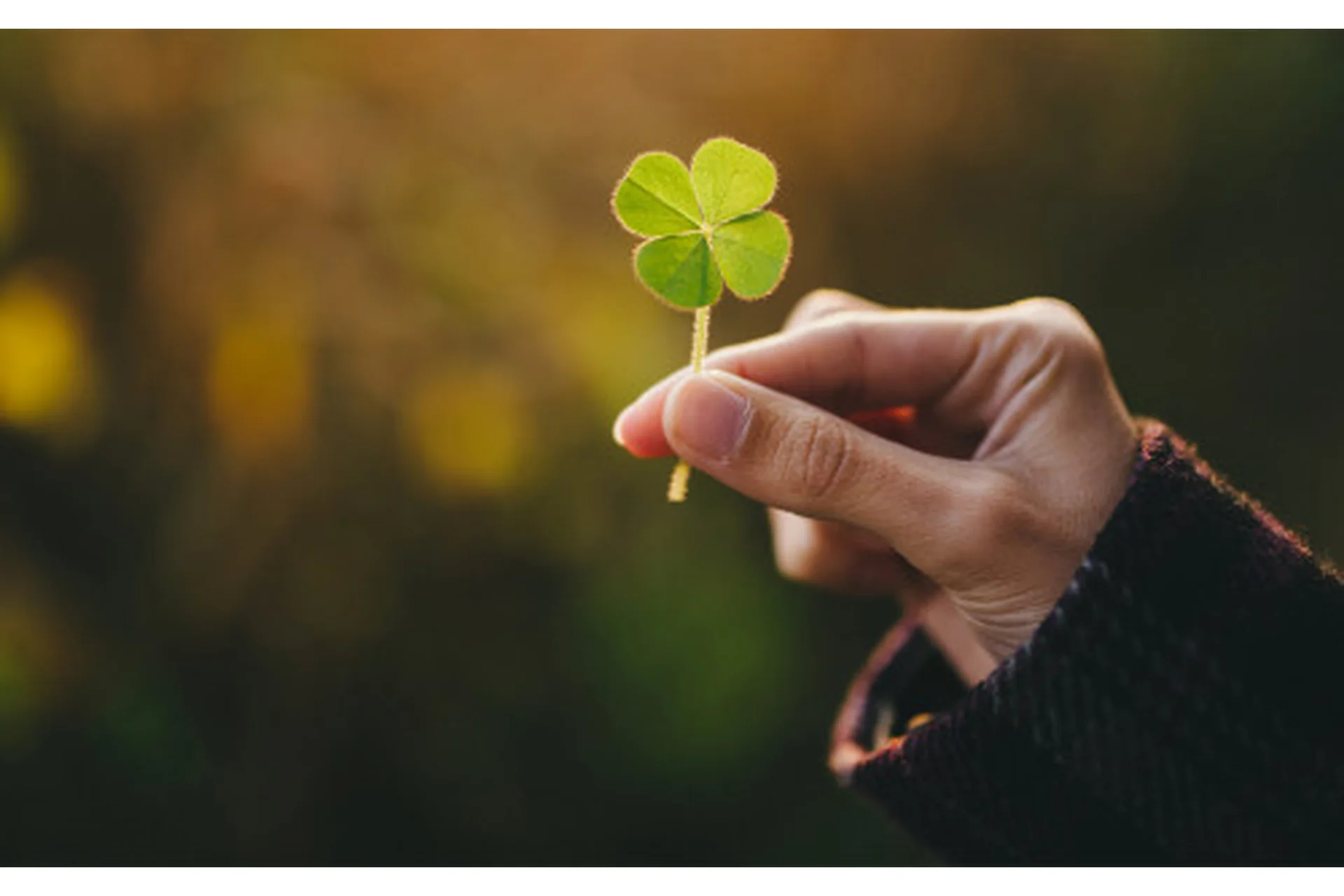 Прогулки за удачей на 2019 год (Наталья Титова), фото 1 из 1.