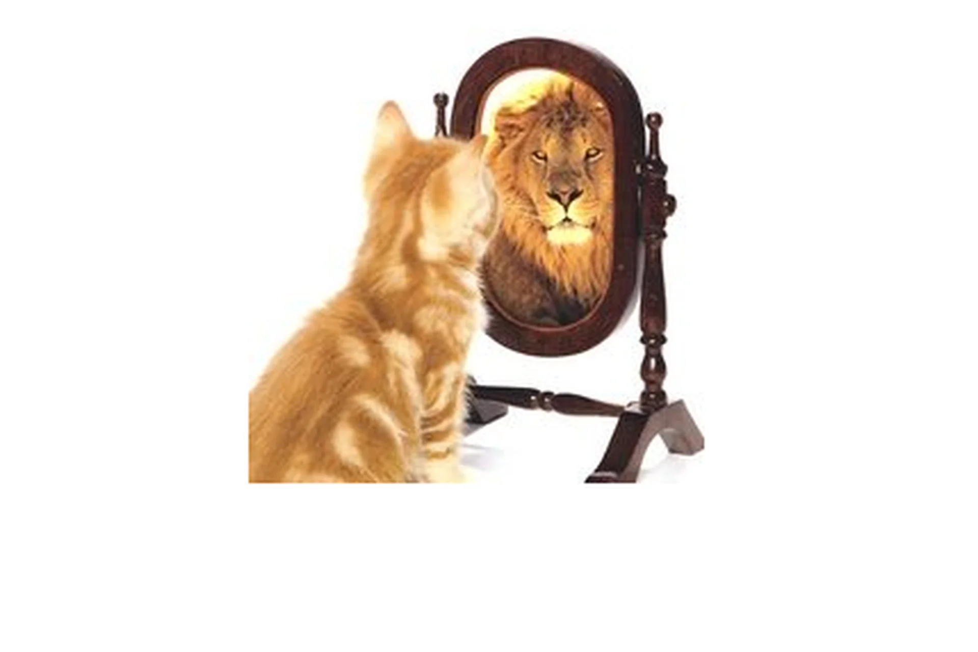 Самооценка: как восстановить свою ценность (Анастасия Данилова), фото 1 из 1.