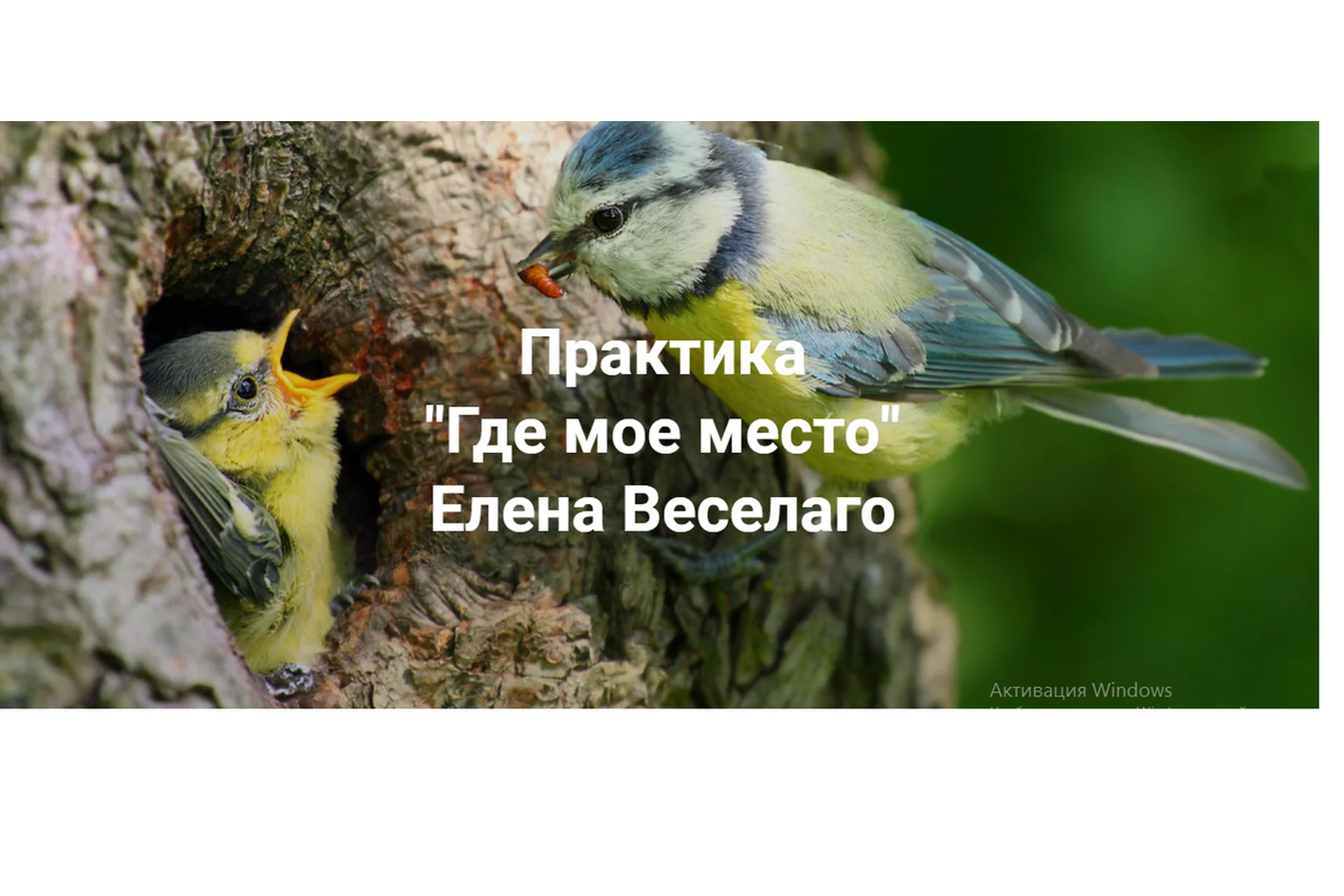 Где мое место (Елена Веселаго), фото 1 из 1.