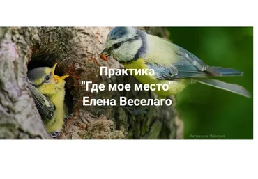Где мое место (Елена Веселаго)