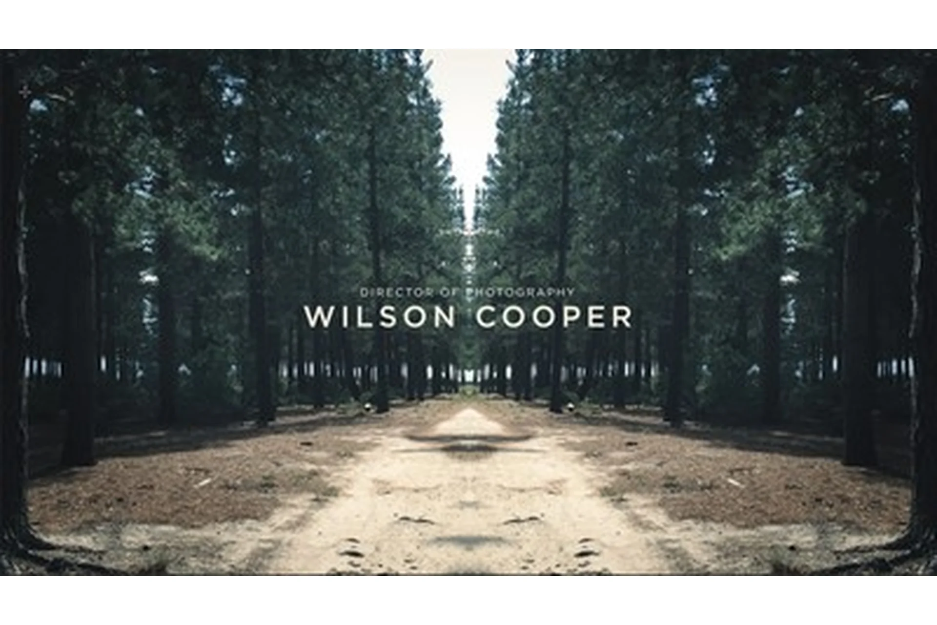 [Greyscalegorilla] Голливудские луты Gorillla Grade LUTs, фото 1 из 1.