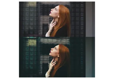 Пресеты Luizclas, 10шт LR, LR mobile DNG (Luiz Claudio)