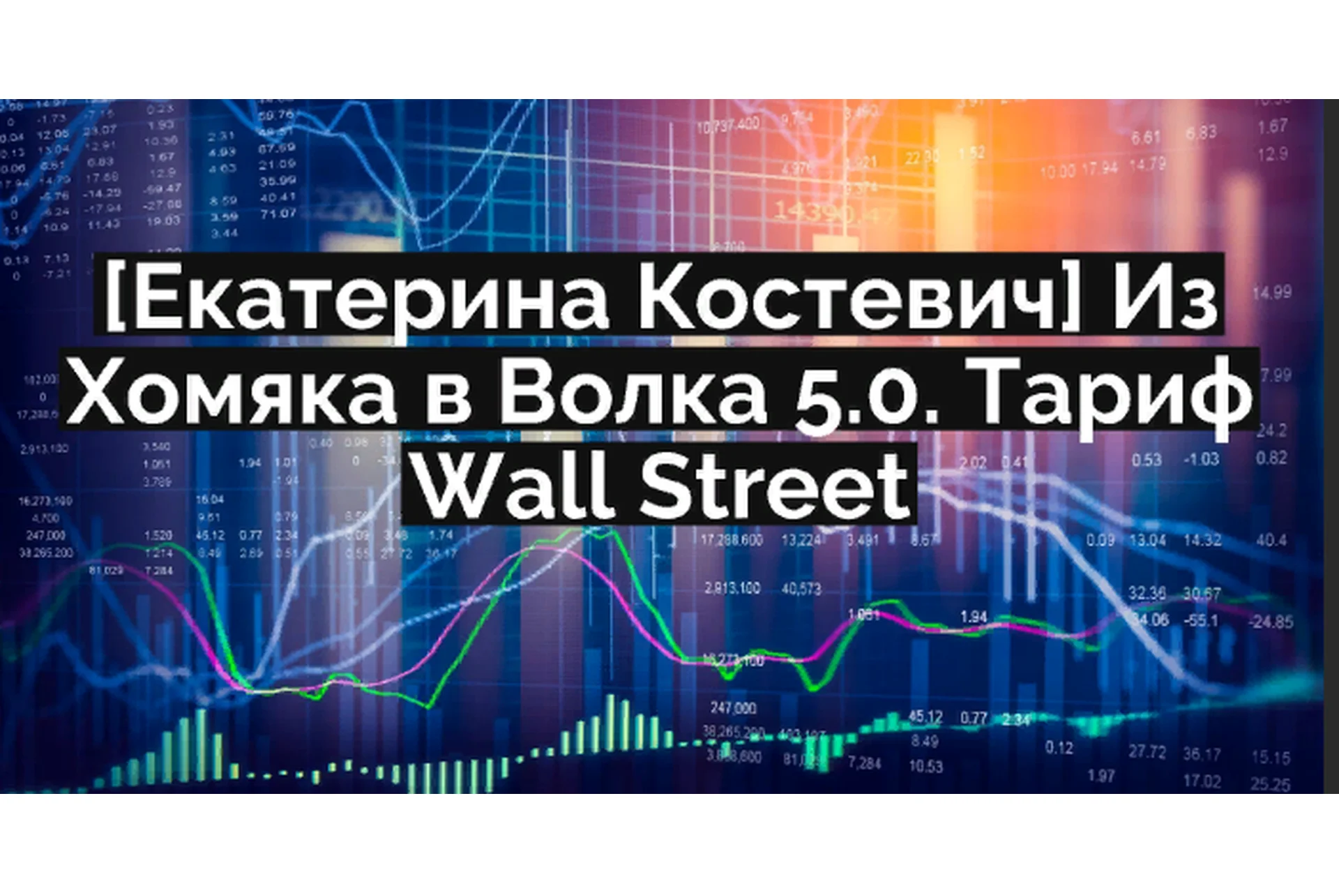 Из Хомяка в Волка 5.0. Тариф Wall Street (Екатерина Костевич), фото 1 из 1.