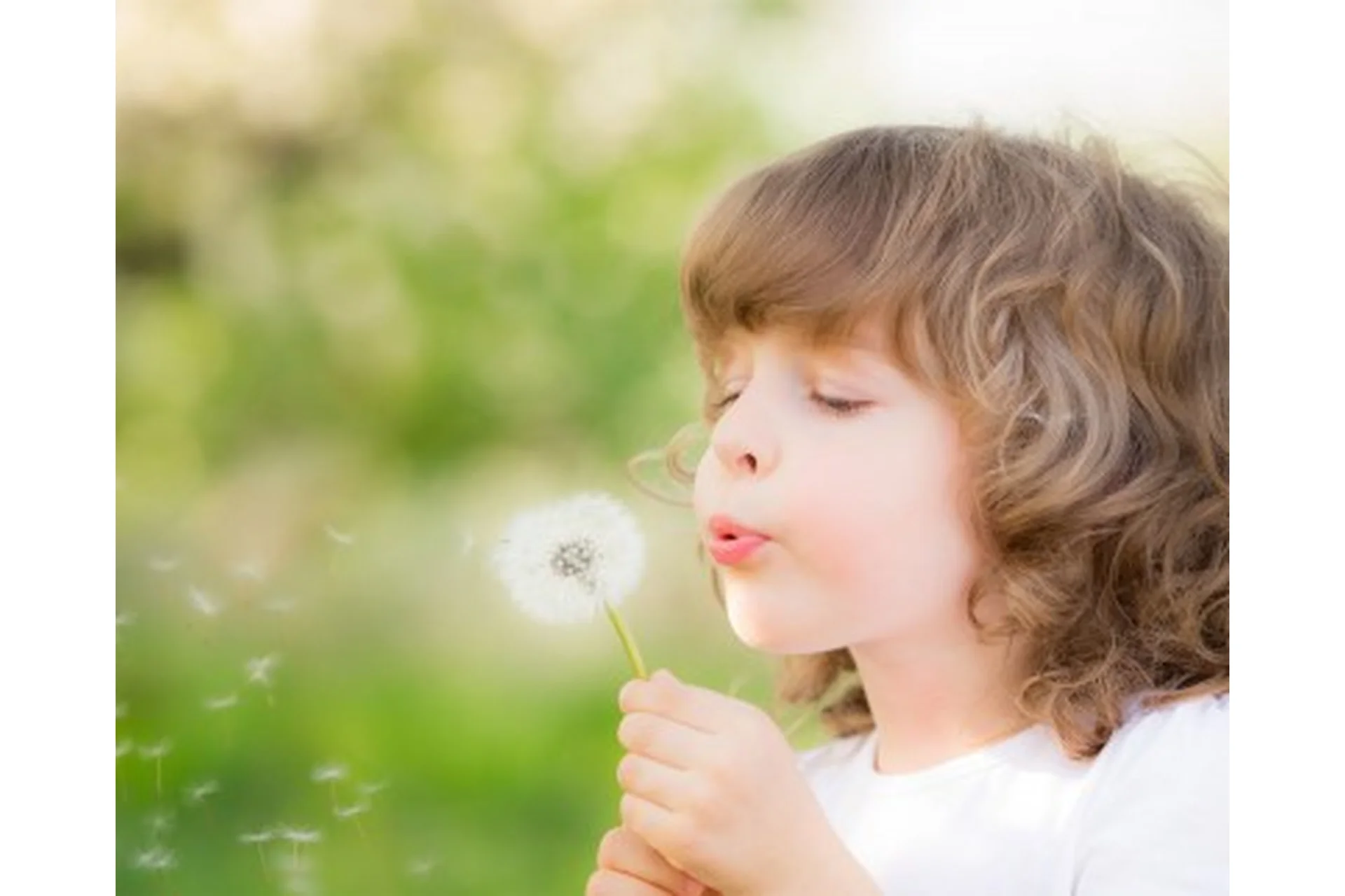 Намерение, 2017 (Александр Палиенко), фото 1 из 1.