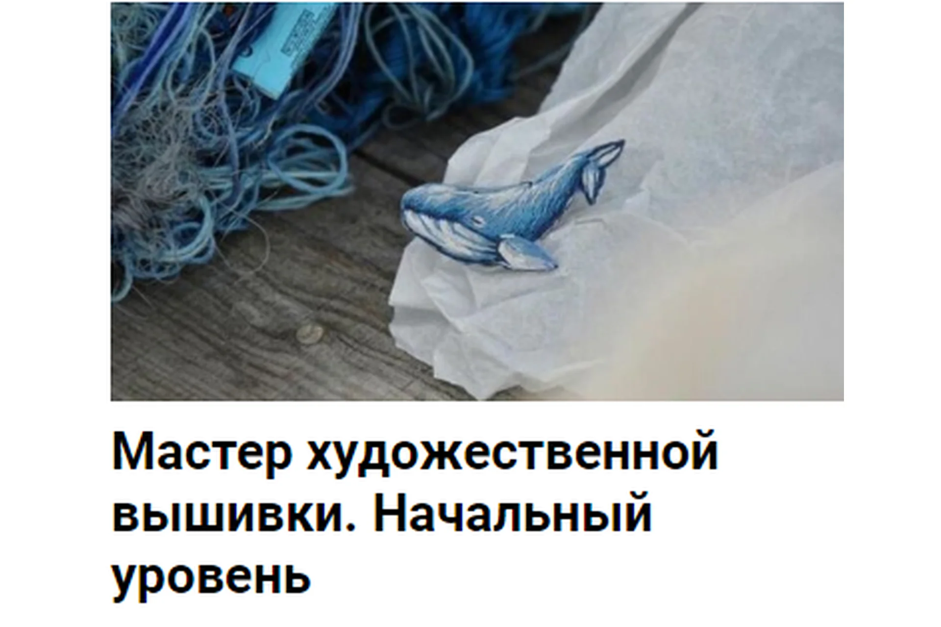 [tvoristudio] Мастер художественной вышивки. Начальный уровень, фото 1 из 1.