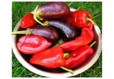 Мир перцев и баклажанов (Кристианна Виниченко)