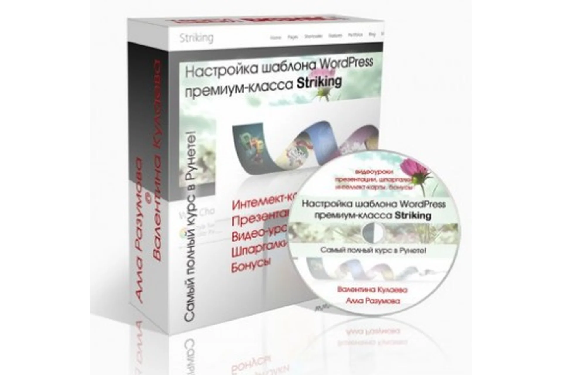 Настройка шаблона WordPress премиум-класса Striking, 2012, фото 1 из 1.