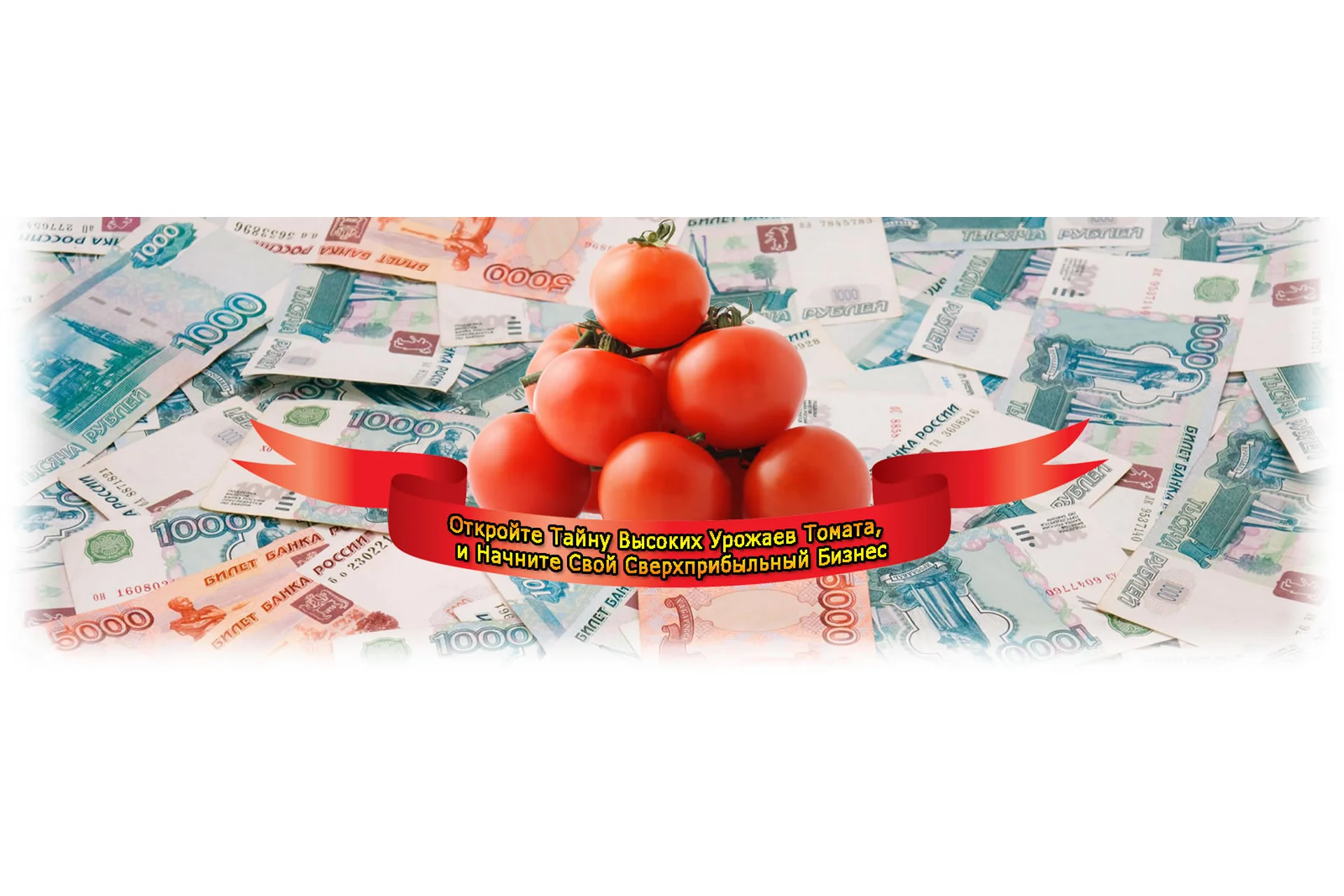 Выращивание грибов, клубники, картофеля, фото 1 из 1.