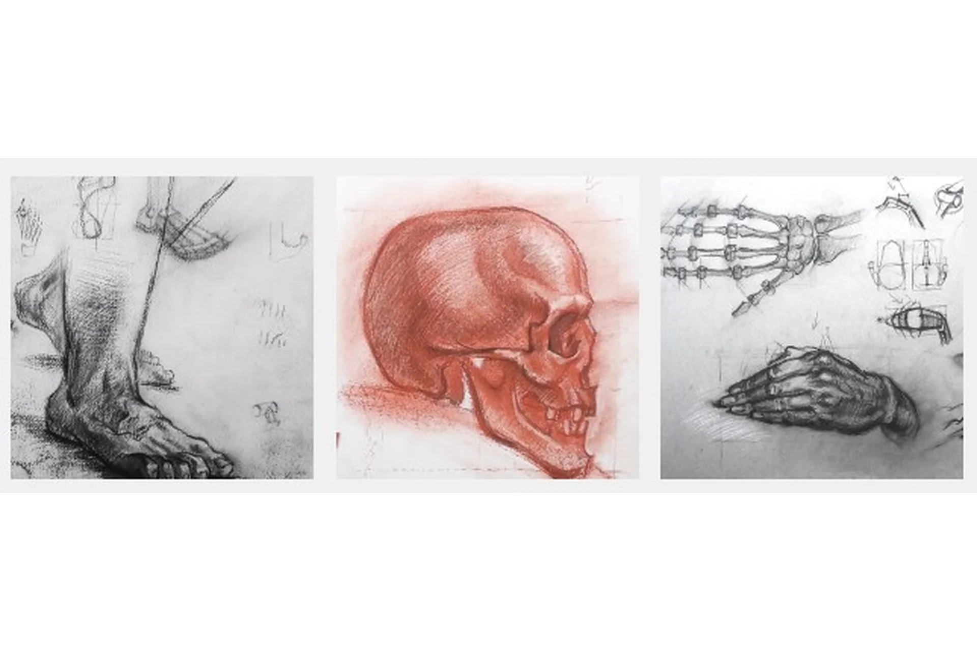 [KalachevaSchool] Живописный рисунок (Дарья Остапенко), фото 1 из 1.