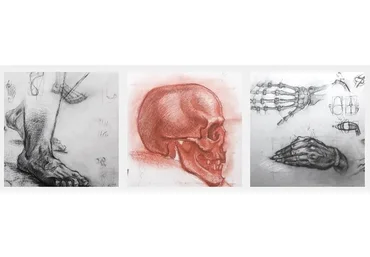 [KalachevaSchool] Живописный рисунок (Дарья Остапенко)