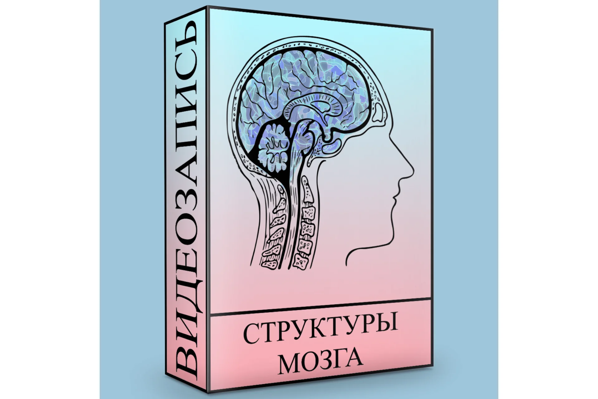Структуры головного мозга (Людмила Малышева), фото 1 из 1.