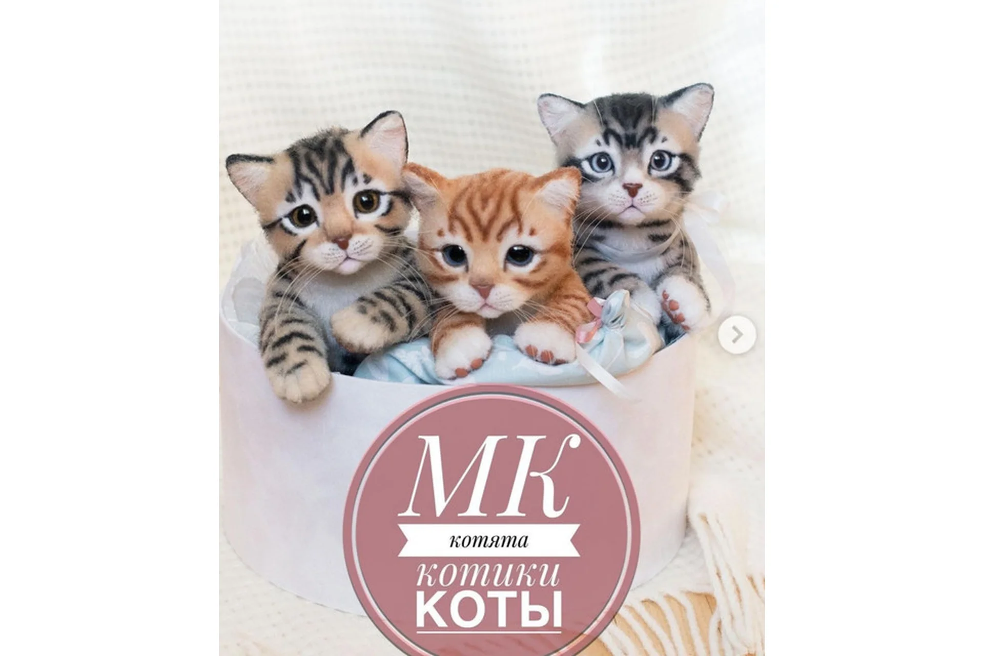 Котята, котики, коты. 3 ступень: 1 ступень + 2 ступень + Реалистичный мурчащий кот (Елена Федоряк), фото 1 из 1.