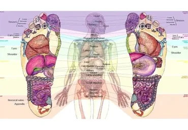 Осень: Лечение бронхо-легочных заболеваний, иммунитет, лимфодренаж с помощью футрефлексотерапии
