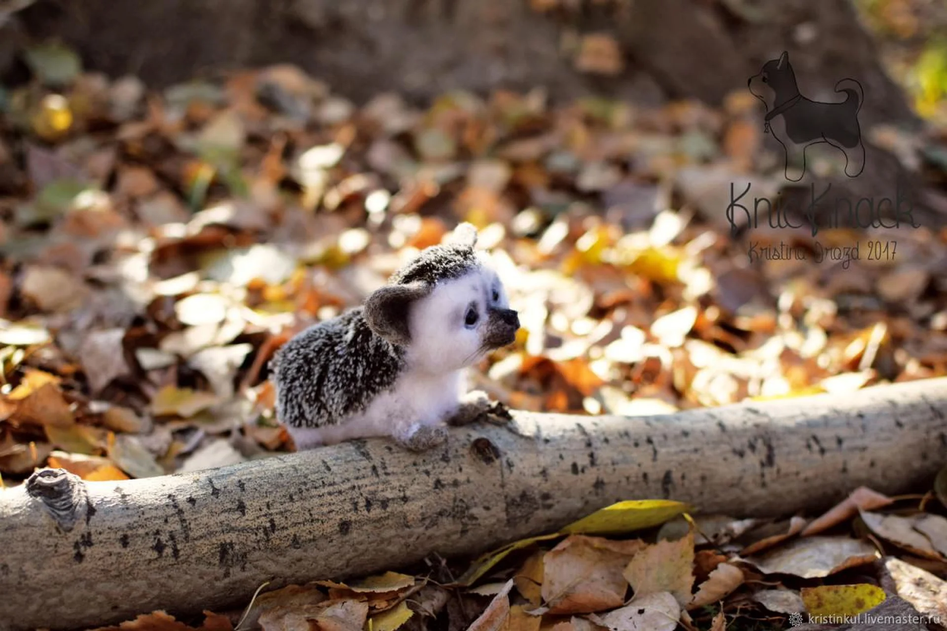 «Ёжик» в технике сухое валяние (Кристина Дрозд), фото 1 из 1.