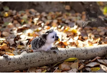 «Ёжик» в технике сухое валяние (Кристина Дрозд)