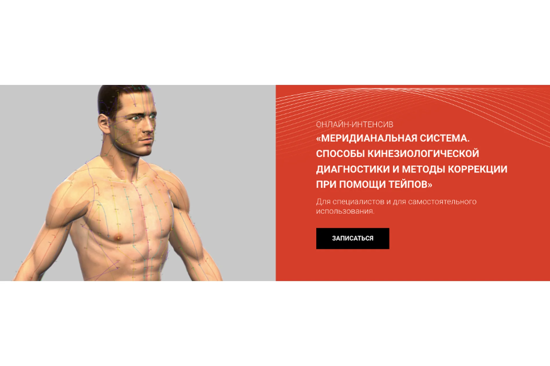 [BBalance] Меридиальная система. Способы кинезиологической диагностики (Евгения Чижикова), фото 1 из 1.