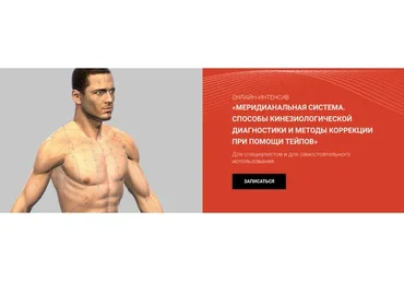 [BBalance] Меридиальная система. Способы кинезиологической диагностики (Евгения Чижикова)