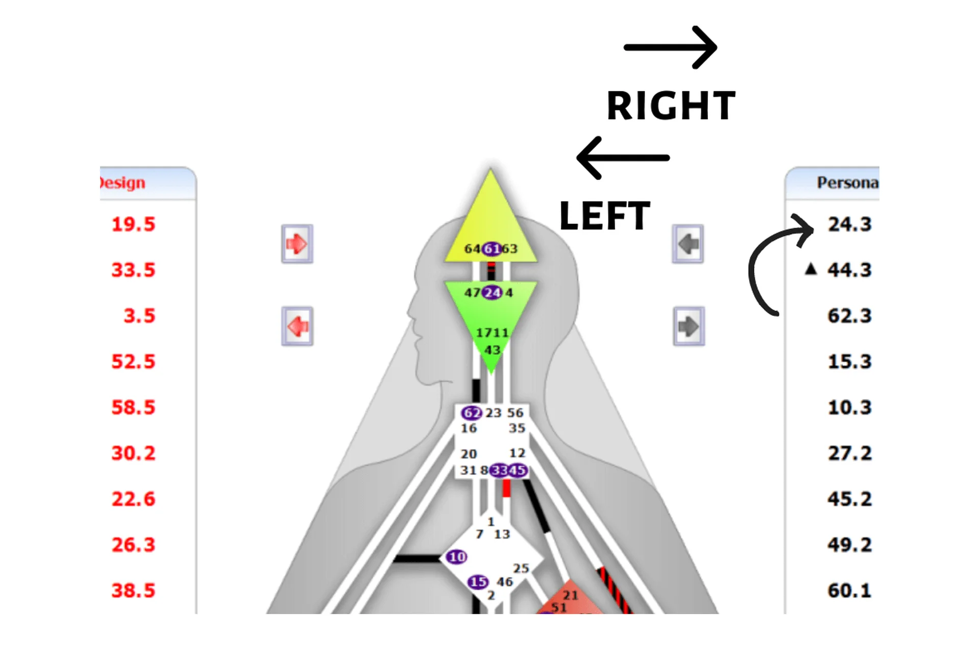 [Дизайн Человека] Правое и левое, фото 1 из 1.