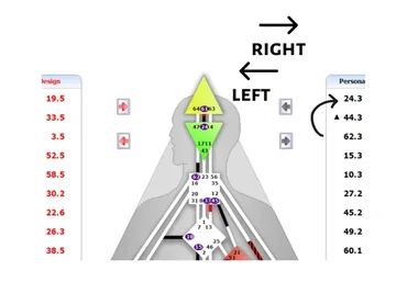[Дизайн Человека] Правое и левое