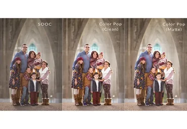 Пресеты для семейных съемок The Streamlined Set (Marissa Gifford)