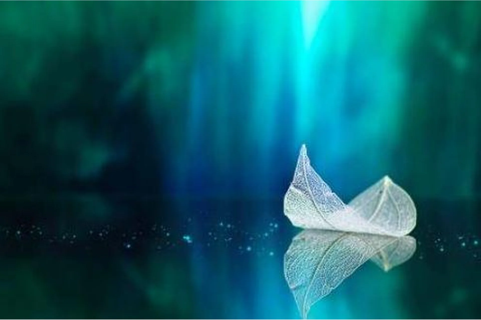 Расстановки и полевая терапия. Осень 2022. Пакет Обычный (Елена Веселаго), фото 1 из 1.