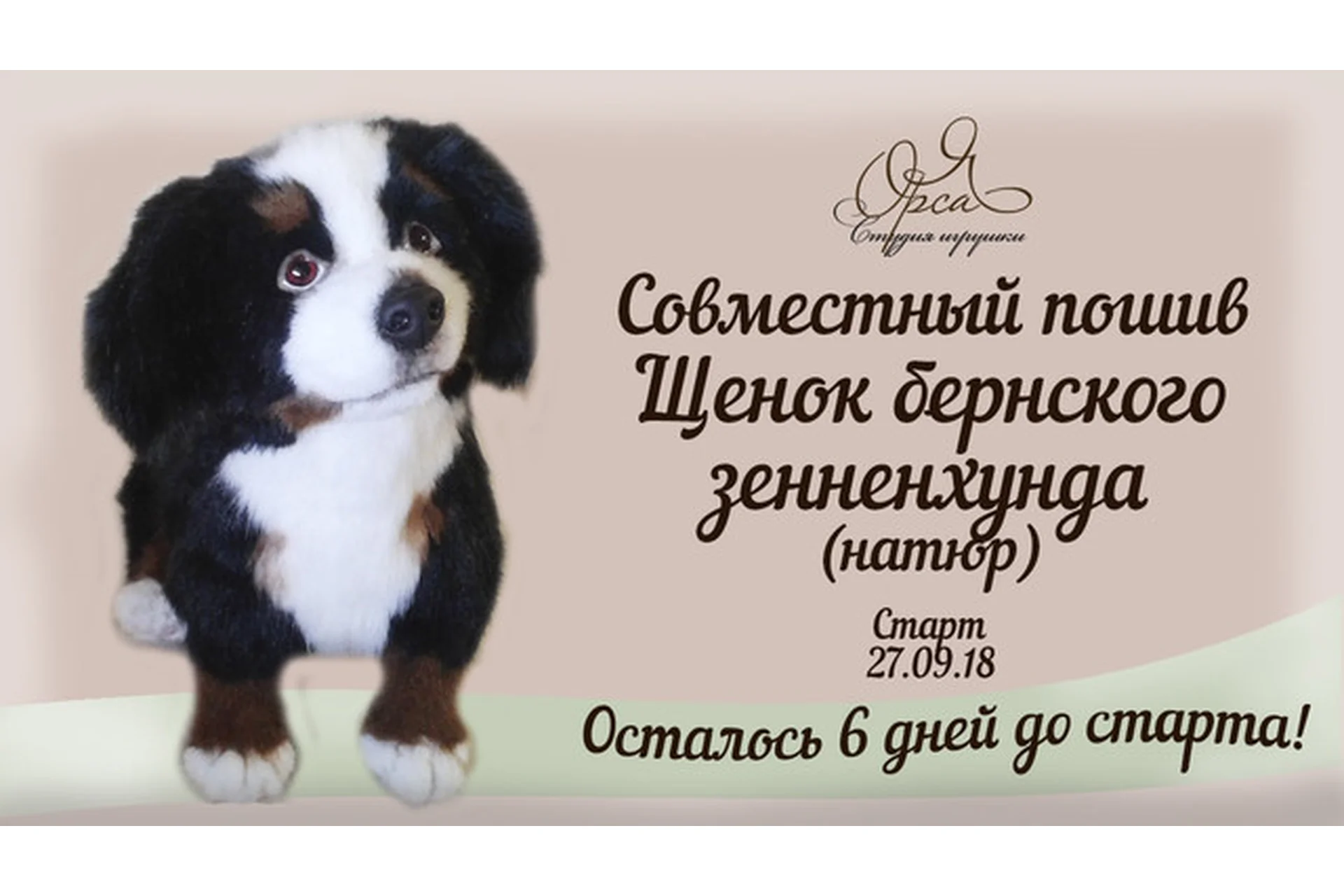 Щенок бернского зенненхунда (Янина Орса), фото 1 из 1.