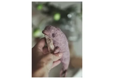 [Школа авторской игрушки] Дельфинчик (Марика Шмидт)