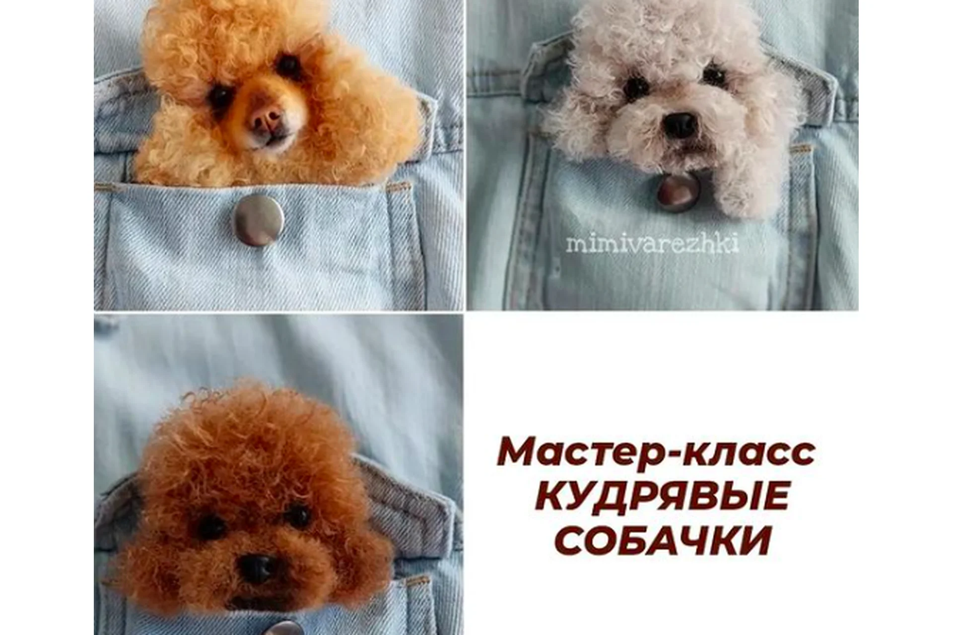 Кудрявые собаки (Марина Грубер), фото 1 из 1.