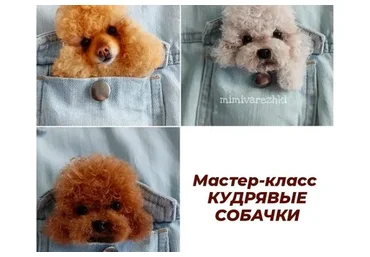 Кудрявые собаки (Марина Грубер)