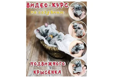 Подвижный Крысёнок  (Наталья Шумейко)