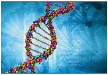 Активации всех слоев ДНК. Пакет Стандарт  (Элена Мелькиадес)