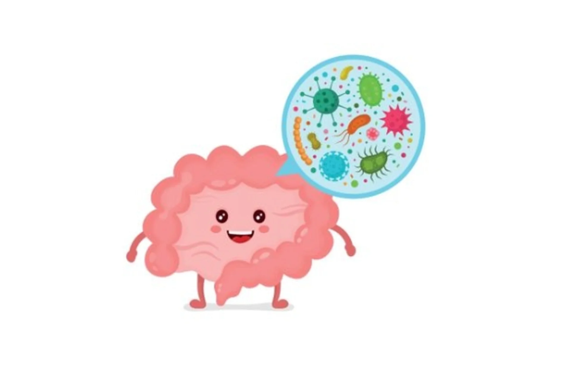 Здоровый кишечник за 7 дней (Юлия Мальцева), фото 1 из 1.