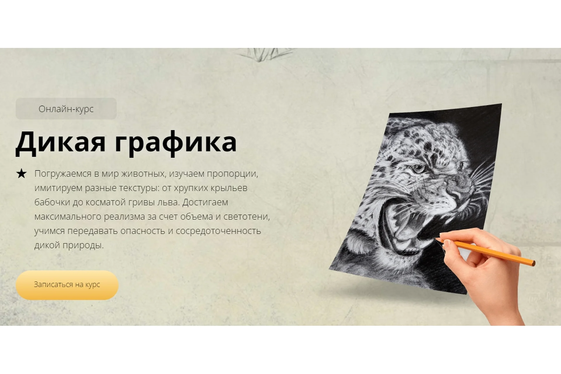 Дикая графика. Пакет Silver (Егор Матита), фото 1 из 1.