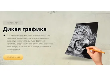 Дикая графика. Пакет Silver (Егор Матита)