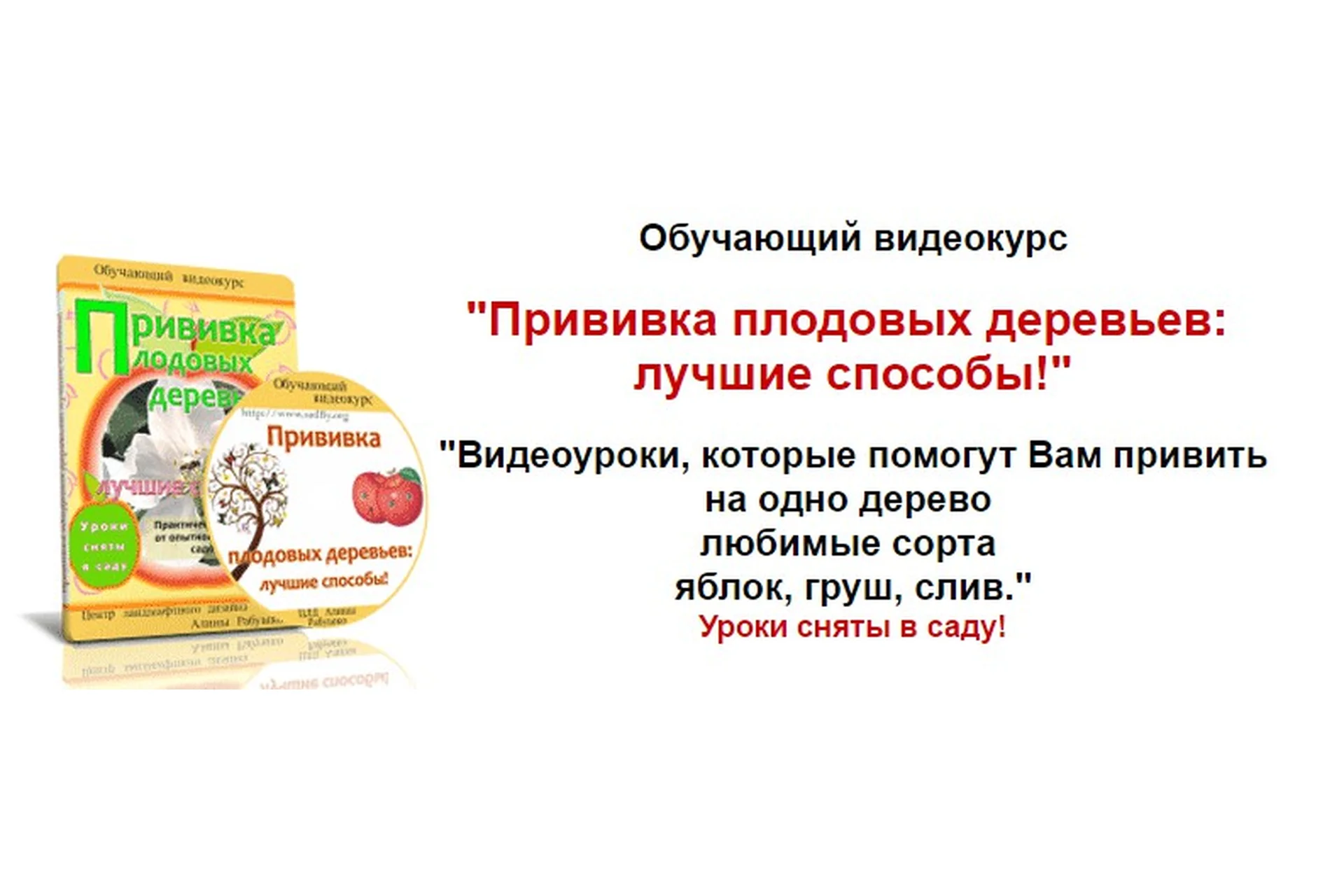 Прививка плодовых деревьев:  лучшие способы (Николай Рабушко), фото 1 из 1.