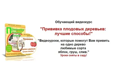 Прививка плодовых деревьев:  лучшие способы (Николай Рабушко)