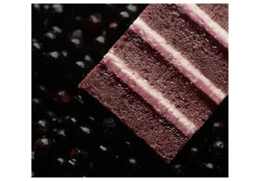 [cakeit_nsk] Торт «Total черная смородина» (Любовь Ки)