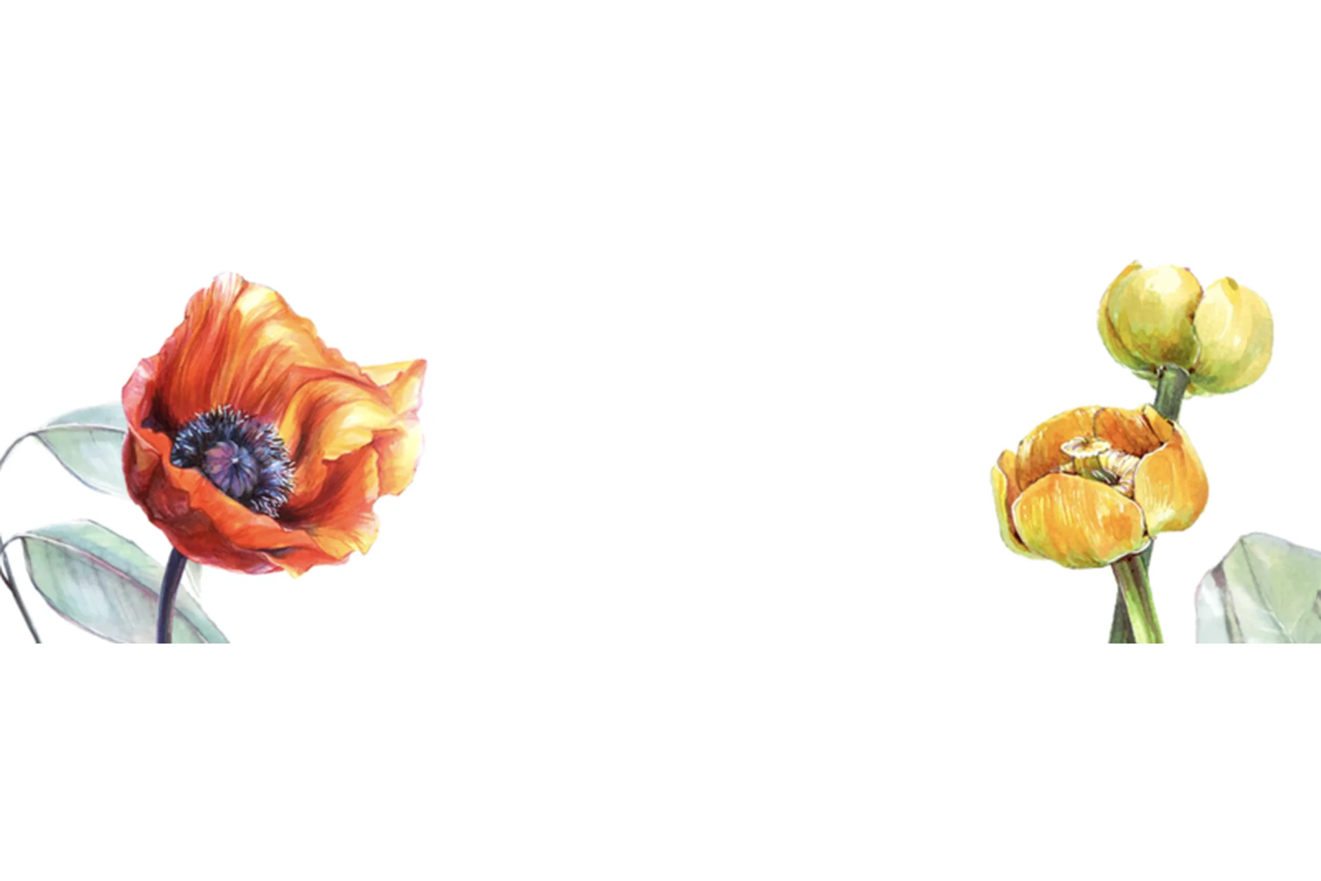 [Marker School] Ботаническая Иллюстрация маркерами. Базовый курс (Юлия Максимова), фото 1 из 1.