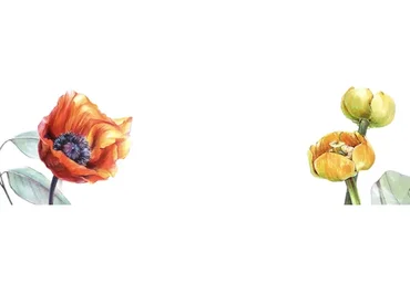 [Marker School] Ботаническая Иллюстрация маркерами. Базовый курс (Юлия Максимова)