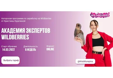 Академия экспертов Wildberries. Тариф Старт (Кристина Курепина)